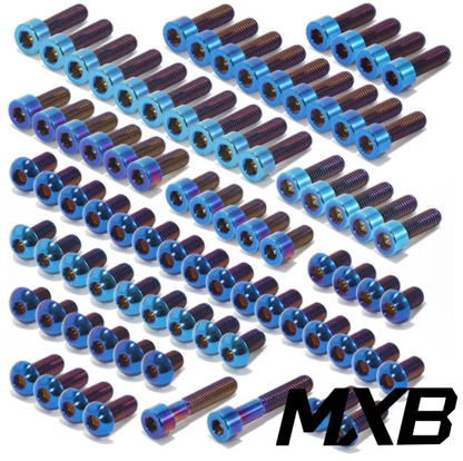 Surron Light Bee/Segway/Falcon/79 Bike Titanium Bolt Kit (COLLECTIVE)